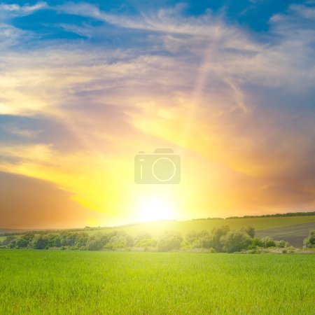 Foto de Hermoso amanecer sobre el campo verde. Cielo azul y nubes blancas. - Imagen libre de derechos