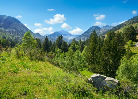 Foto de Paisaje de montaña con hierba verde y flores. Andorra, Pirineos
. - Imagen libre de derechos
