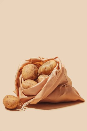 Foto de Patatas almacenadas en una bolsa ecológica, promoviendo un uso consciente y sostenible. La importancia de las prácticas respetuosas con el medio ambiente y fomenta el comportamiento consciente del consumidor. - Imagen libre de derechos