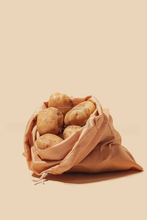 Téléchargez les photos : Pommes de terre stockées dans un sac fourre-tout écologique, favorisant une utilisation consciente et durable. L'importance de pratiques respectueuses de l'environnement et encourage un comportement respectueux des consommateurs. - en image libre de droit