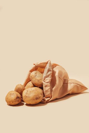 Téléchargez les photos : Pommes de terre stockées dans un sac fourre-tout écologique, favorisant une utilisation consciente et durable. L'importance de pratiques respectueuses de l'environnement et encourage un comportement respectueux des consommateurs. - en image libre de droit