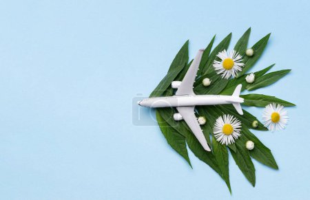 Téléchargez les photos : Carburant d'aviation durable. Modèle d'avion blanc, feuilles vertes fraîches sur fond bleu. Énergie propre et verte, biocarburant pour l'industrie aéronautique. - en image libre de droit