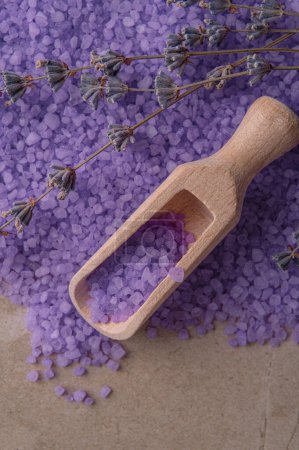 Photo for Lavender cooking salt close-up with a wooden spoon, background - Royalty Free Image