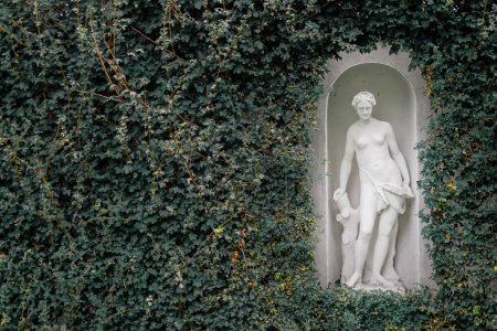 Foto de Escultura de jardín. Un hermoso pedestal de una mujer en el fondo de una pared verde en el parque. Fondo para eventos al aire libre - Imagen libre de derechos