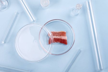 Foto de Tocino en el plato de cristal Petri. Laboratorio de Estudios de Carne Artificial. Imagen de stock químico - Imagen libre de derechos