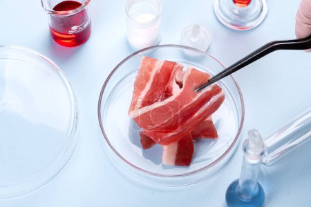 Photo for Bacon in Glass Petri Dish. Laboratory Studies of Artificial Meat. Chemical Stock Image - Royalty Free Image