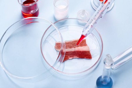 Téléchargez les photos : Bacon en verre Petri Dish. Études de laboratoire sur la viande artificielle. Image de stock chimique - en image libre de droit