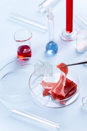 Téléchargez les photos : Bacon en verre Petri Dish. Études de laboratoire sur la viande artificielle. Image de stock chimique - en image libre de droit