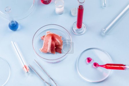 Cultured meat. Bacon in Glass Petri Dish. Laboratory Studies of Artificial Meat. Chemical Stock Image