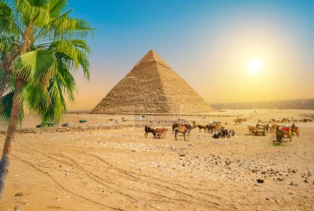 Téléchargez les photos : Désert sablonneux en Egypte au coucher du soleil - en image libre de droit
