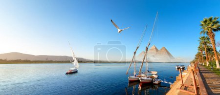 Photo for River Nile in Egypt. Aswan Africa and pyramids - Royalty Free Image