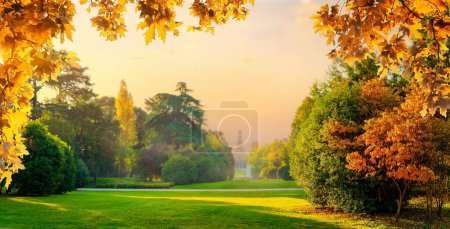 Téléchargez les photos : Grand parc de la ville en automne à Milan, Italie. Parc de Sempione près du château de Sforzesco. - en image libre de droit