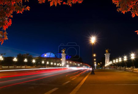 Foto de Puente Alexandrovsky con iluminación nocturna en París - Imagen libre de derechos