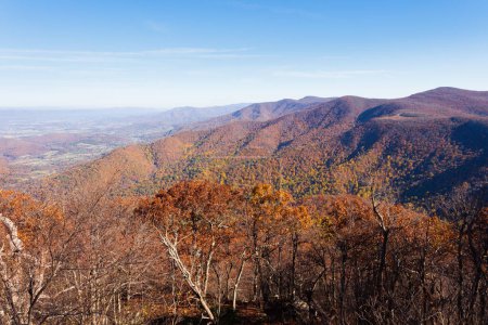 Foto de Blue Ridge finales de otoño bosque de color otoño, Parque Nacional Shenandoah, Virginia, VA, EE.UU. - Imagen libre de derechos