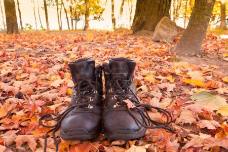 Foto de Botas de senderismo de cuero en color amarillo naranja otoño bosque listo para ir en una caminata - Imagen libre de derechos
