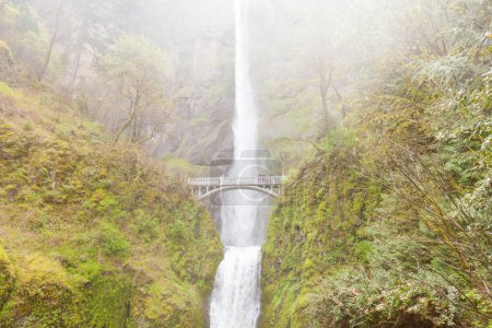 Photo for Famous landmark of Multnomah Falls and Benson Footbridge on rainy day in Columbia River valley near Portland, Oregon, USA - Royalty Free Image