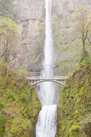 Photo for Famous landmark of Multnomah Falls and Benson Footbridge, Columbia River valley near Portland, Oregon, OR, USA - Royalty Free Image