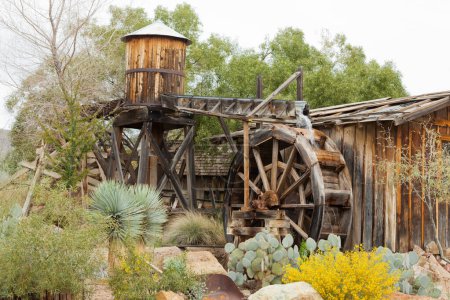 Western style pioneer frontier water mill wheel wooden building in blooming desert garden near Tucson, Arizona, AZ, USA