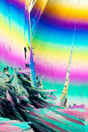 Foto de Aspecto colorido de cristales de ácido benzoico, un aditivo conservante de alimentos, en luz polarizada - Imagen libre de derechos