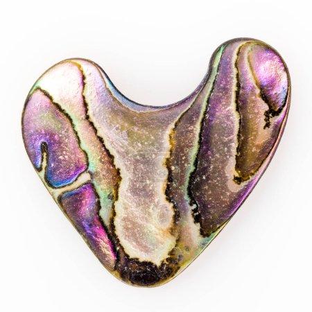 Photo for Heart-shaped piece of natural nacre mother-of-pearl of Paua, Perlemoen or Abalone shell found on Pacific Ocean beach on white background - Royalty Free Image