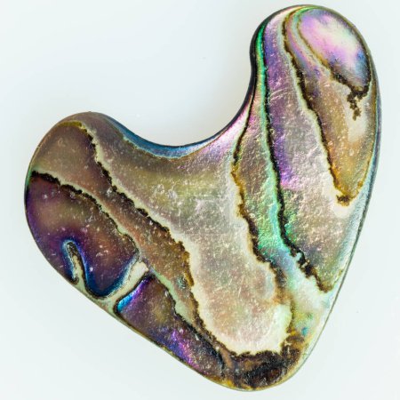 Photo for Heart-shaped piece of natural nacre mother-of-pearl of Paua, Perlemoen or Abalone shell found on Pacific Ocean beach - Royalty Free Image