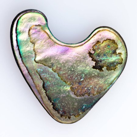 Photo for Heart-shaped piece of natural nacre mother-of-pearl of Paua, Perlemoen or Abalone shell found on Pacific Ocean beach - Royalty Free Image