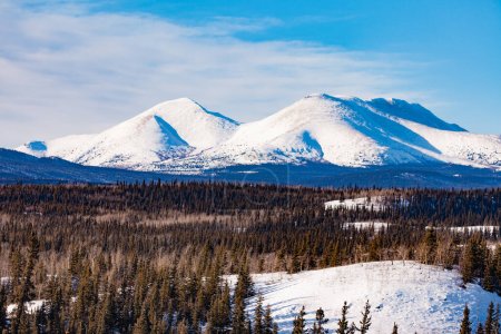 Paysage montagneux hivernal de la forêt boréale taïga sauvage du Territoire du Yukon, Canada, au nord de Whitehorse