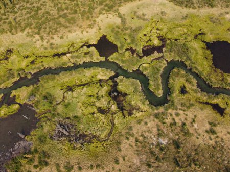 Photo for Riparian wetland wilderness aerial view of creek running through swamp marshland created by beavers in boreal forest of Yukon Territory, Canada - Royalty Free Image