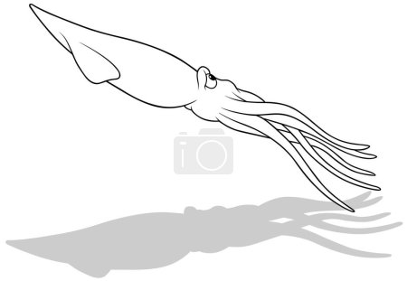 Ilustración de Dibujo de un calamar flotante desde la vista lateral - Ilustración de dibujos animados aislados sobre fondo blanco, Vector - Imagen libre de derechos