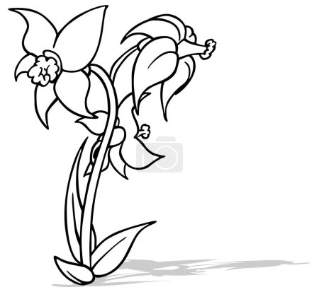 Ilustración de Dibujo de tres flores de narcisos - Ilustración de dibujos animados aislados sobre fondo blanco, Vector - Imagen libre de derechos