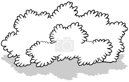 Illustration for Drawing of a Wide Bush - Cartoon Illustration Isolated on White Background, Vector - Royalty Free Image