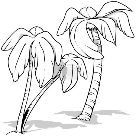 Ilustración de Dibujo de un conjunto de palmas de coco - Ilustración de dibujos animados aislados sobre fondo blanco, Vector - Imagen libre de derechos