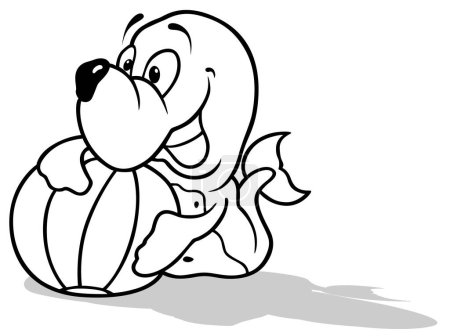 Téléchargez les illustrations : Dessin d'un lion de mer tenant un ballon de plage Illustration de bande dessinée isolé sur fond blanc, vecteur - en licence libre de droit