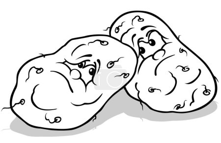 Téléchargez les illustrations : Dessin de deux pommes de terre grincheuses - Illustration de bande dessinée isolée sur fond blanc, vecteur - en licence libre de droit