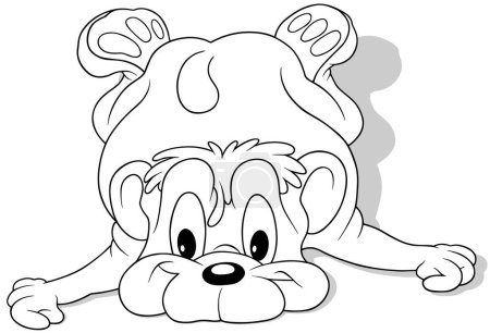 Ilustración de Dibujo de un lindo oso de peluche acostado en el suelo - Ilustración de dibujos animados aislados sobre fondo blanco, Vector - Imagen libre de derechos