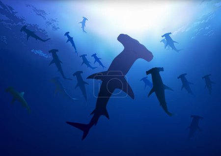 Téléchargez les illustrations : Requins-marteaux dans la mer profonde - Illustration colorée, vecteur - en licence libre de droit