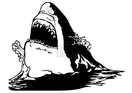 Téléchargez les illustrations : Dessin d'un grand requin blanc avec mâchoires au-dessus de la surface de l'eau Illustration en noir et blanc, vecteur - en licence libre de droit