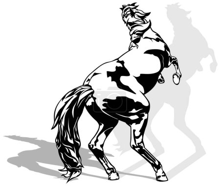 Téléchargez les illustrations : Dessin d'un cheval montant sur une patte arrière de la vue arrière - Illustration noire isolée sur fond blanc, vecteur - en licence libre de droit