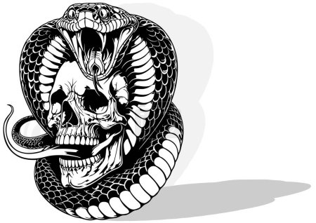 Illustration for Drawing of a Indian Cobra Wrapped Around a Human Skull - Black and White Illustration or Tattoo Isolated on White Background, Vector - Royalty Free Image