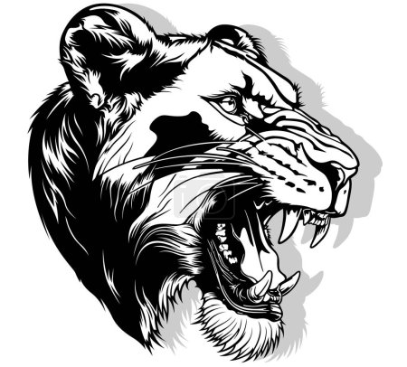 Téléchargez les illustrations : Dessin de la lionne à bouche ouverte Illustration noir et blanc isolé sur fond blanc, vecteur - en licence libre de droit