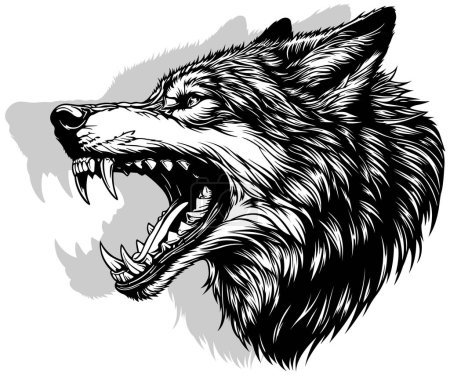 Illustration for Drawing of a Wolfs Head with its Teeth Bared - Black and White Illustration Isolated on White Background, Vector - Royalty Free Image