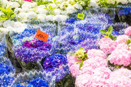 Photo for Flowers market on public street - agribusiness and flower shop - Royalty Free Image