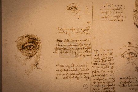 Photo for Turin, Italy - April, 2023: Leonardo da Vinci drawings on handmade cotton paper, Royal Library. - Royalty Free Image