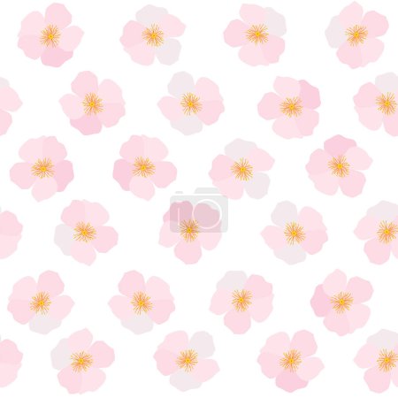 Illustration for Delicate pink cherry blossoms on a white background - Royalty Free Image
