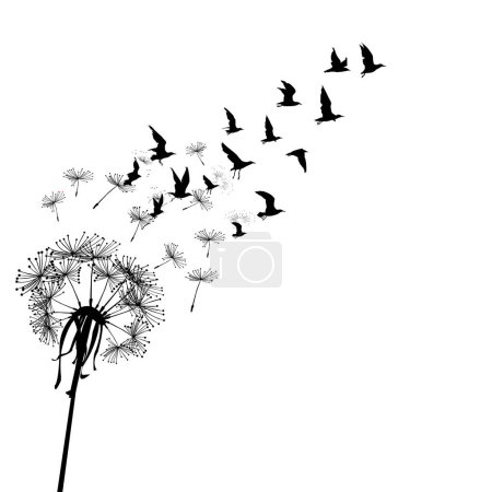 Illustration for Dandelion with seeds transforming in flying birds. Freedom concept - Royalty Free Image