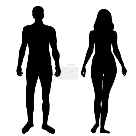 Illustration for Black silhouette of a man and a woman isolated on white background - Royalty Free Image