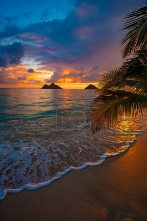 Téléchargez les photos : Lever de soleil à la plage de lanikai sur oahu - en image libre de droit