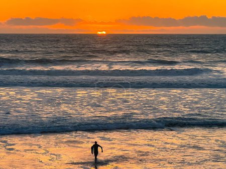 Photo for Surfer coming out of the water at sunset - Royalty Free Image