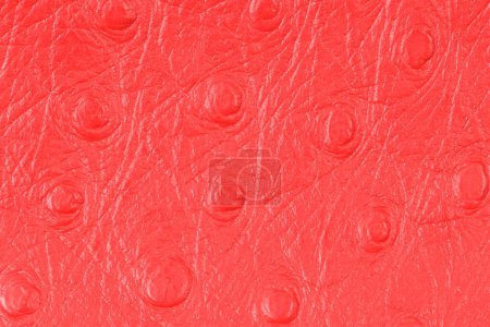Photo for Red artificial eather texture background. - Royalty Free Image