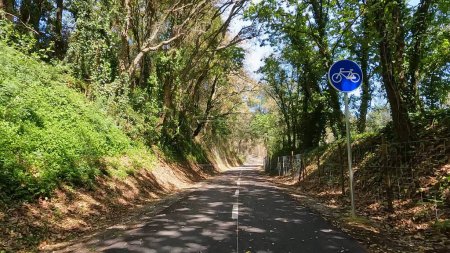 Standpunkt des Fahrradfahrens in Sever do Vouga, Portugal. Mit weitem Blick auf den Radweg und die Naturlandschaft.